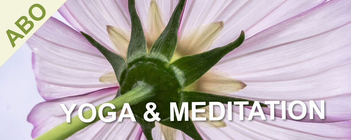 23-02 | ABO Yoga – Gentle Flow aus dem TriYoga® Level 1
